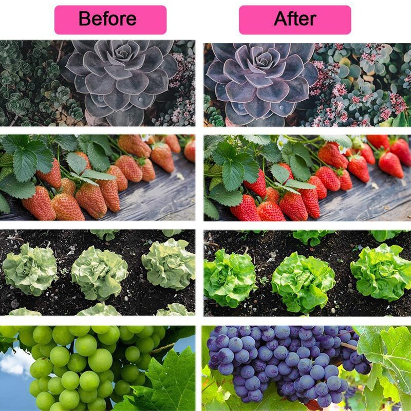 USB LED plant growth lamp full spectrum indoor plant growth lamp 2835 lamp beads DC5V waterproof led plant light strip