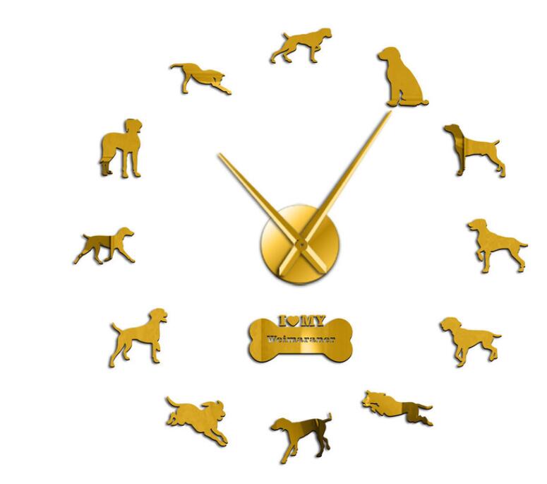 3d akryl diy väggklocka modern weimaraner hundras hund hund porträtt självhäftande vägg klistermärken klocka för hund älskare: Guld- / 27 tum