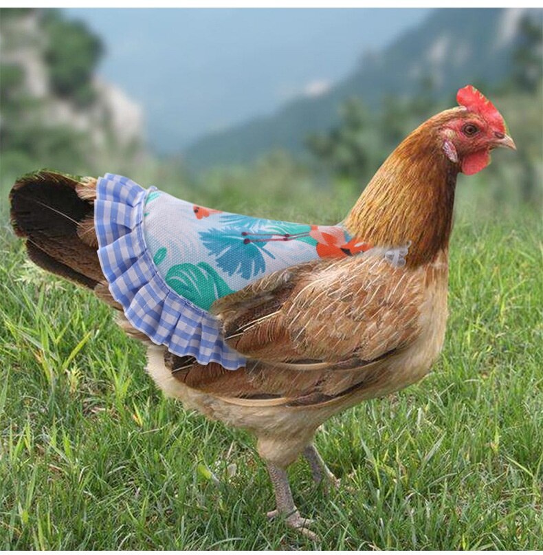 Gilet en dentelle de poulet élastique, 5 Types, tablier de selle, support de Protection en plumes, vêtements pour animaux de compagnie, volaille, poule, canard