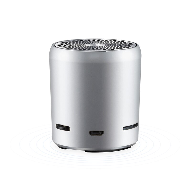 Ewa A107S Draagbare Draadloze Bluetooth Speaker Heavy Bass Boom Box Mini Subwoofer Tws Draadloze Luidspreker Tf Card 800Mah Metalen body: SIlver