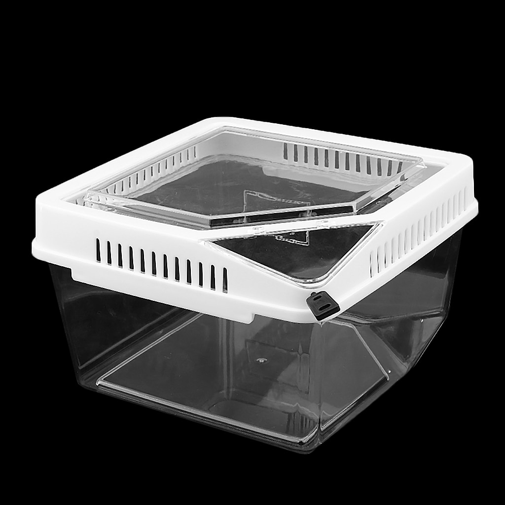 Sturdy Plastic Reptile Lizard Spider Beetle Scorpion Insect Vivarium Terrarium Rearing Box Breeding Case Container