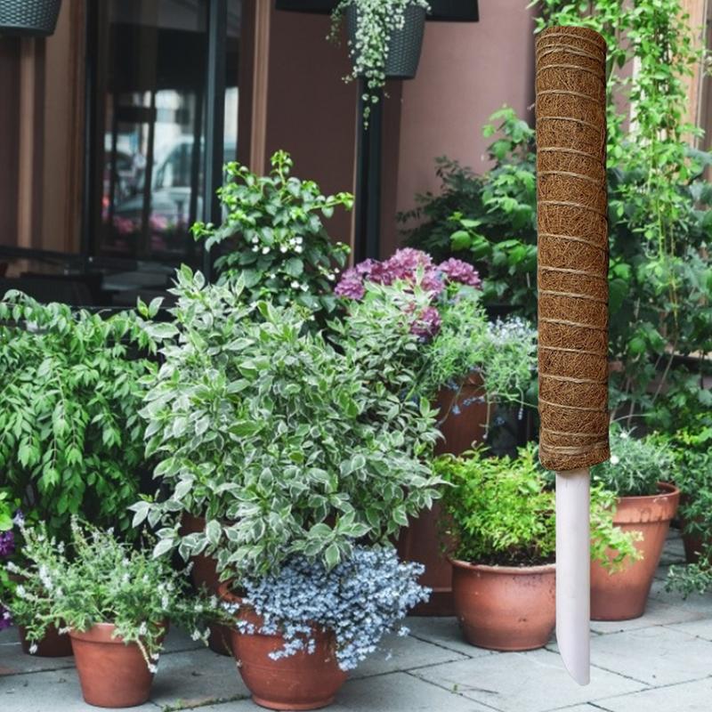 Enredaderas de plantas trepadoras Monstera, poste de musgo, soporte de plantas, Coir tótem de Coco, estacas para cultivar plantas, enrejados de vid de casa en maceta