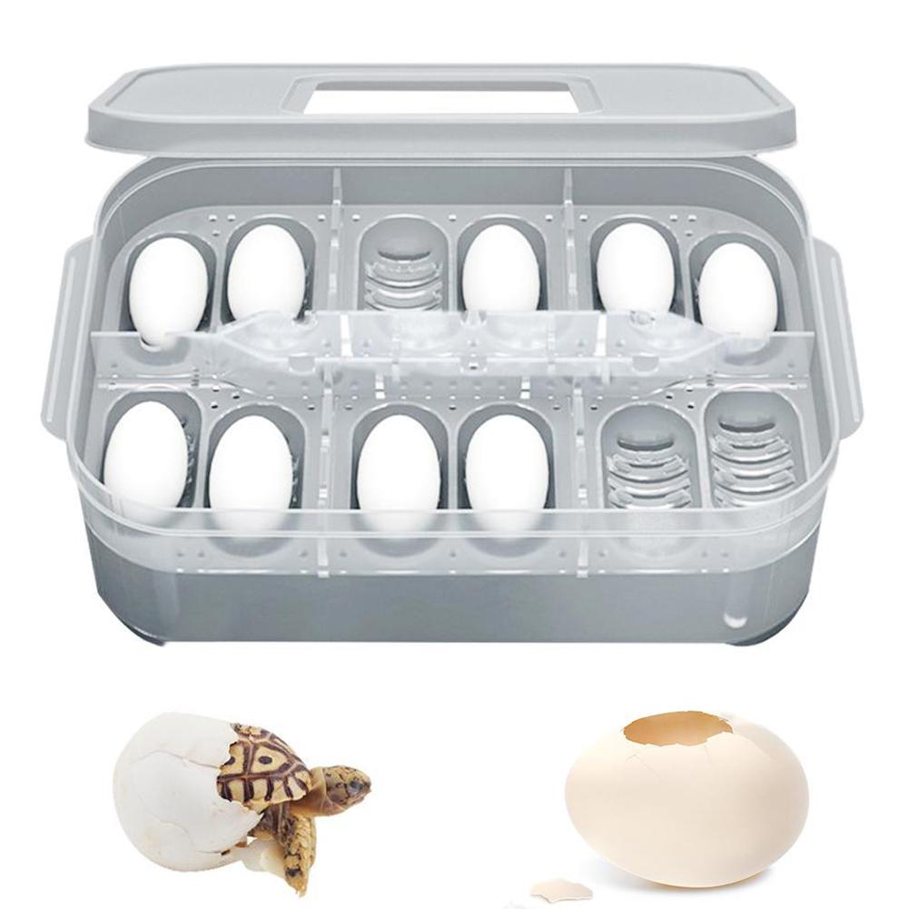Reptile pour animaux de compagnie lézard Gecko serpent 12 grilles oeuf Hatcherys boîte de reproduction incubateur pour tortues, oiseaux, lézards, petits serpents