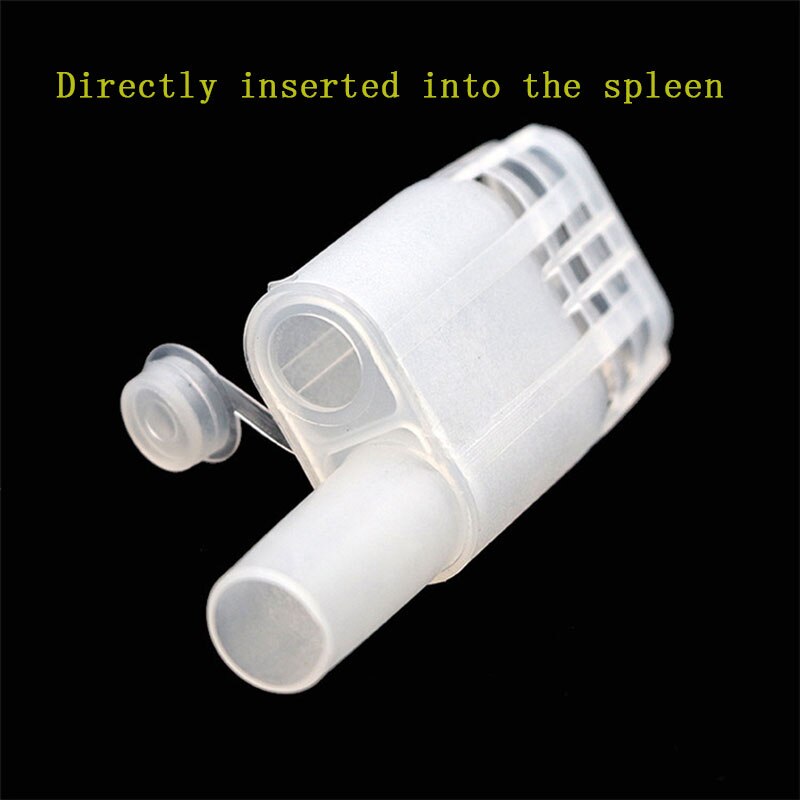 Cage reine des abeilles en plastique pour apiculteur, Protection contre les insectes, 10 pièces, 20 pièces