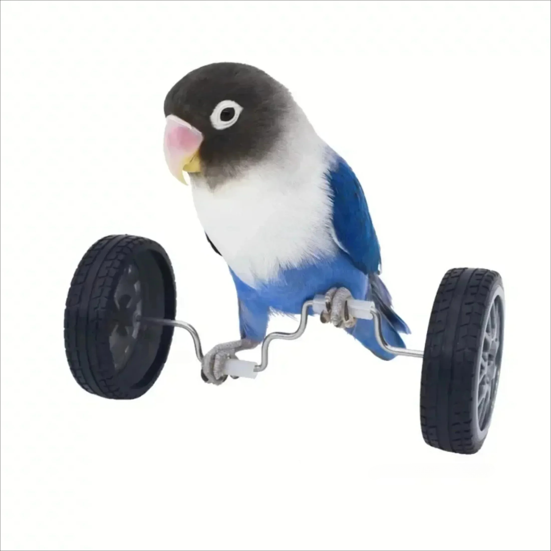 Juguetes para loros grandes, bicicleta, juguete de equilibrio de aves, Mini patines de doble fila, juguetes de entrenamiento para pájaros pequeños, ruedas giratorias, bicicleta para pájaros