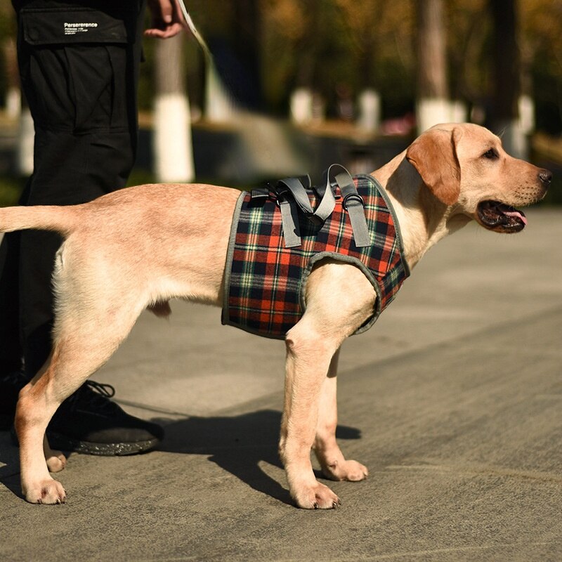 Einstellbare Hund Unterstützung Weste Harness für Zurück Beine für Medium Large Hund Alte Behinderte Joint Verletzungen Arthritis Lähmung Hunde Spaziergang: Front leg orange pla / L
