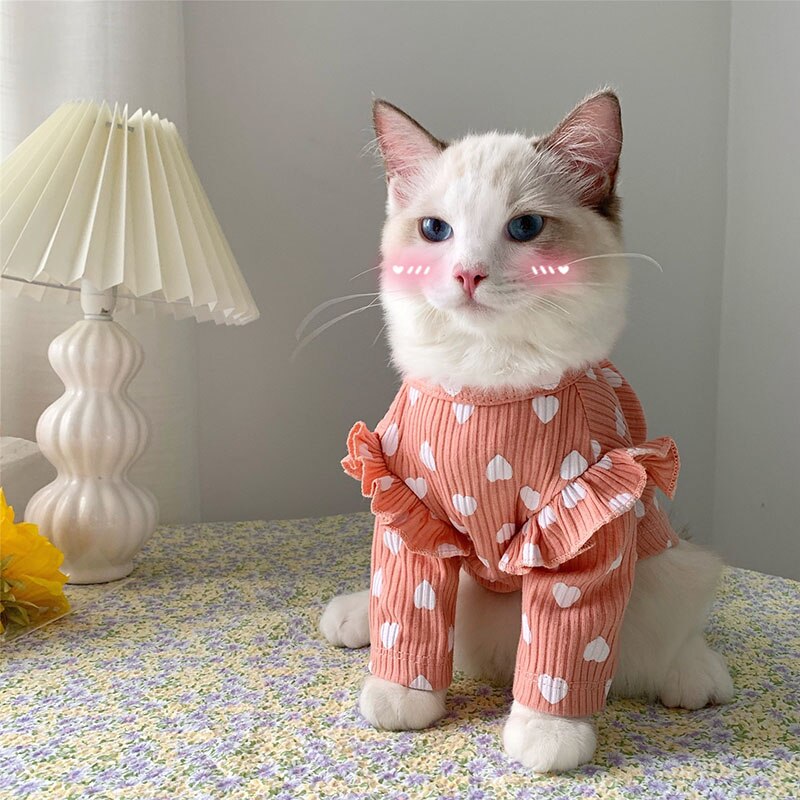 Vêtements de printemps pour chat, pull en coton – Grandado