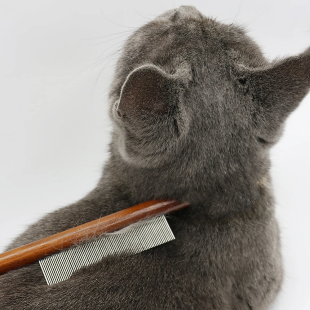 Kattenkam Kattenkam Borstel Lang haar Kattennaaldkam Open knopen om drijvende haaraccessoires te verwijderen Huisdierkneukenbenodigdheden