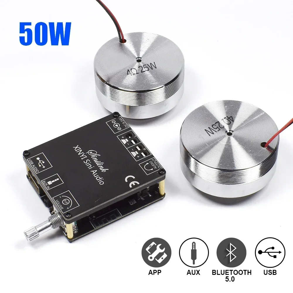 Altavoz de Audio estéreo portátil con vibración, 2x25W, con amplificador Clase D de 50W, Bluetooth 5,0, sistema HIFI DIY para cine en casa