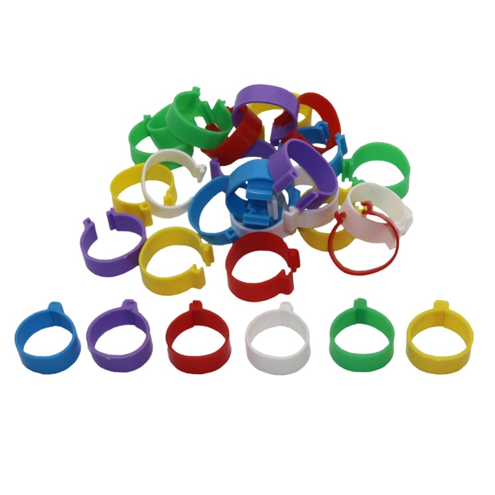 Anillos de Clip tipo hebilla para aves de corral, suministros de alimentación de codorniz, pollo, pato, ganso, diámetro interno de 25mm, 25mm, 600 Uds.