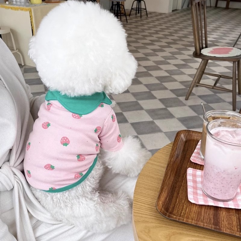 Vêtements pour chiens imprimés fraises, gilet rose pour animaux de compagnie, Costume pour chiot, Polo pour chien et chat, Chihuahua Bichon, T-Shirt mignon pour filles, pull pour chien