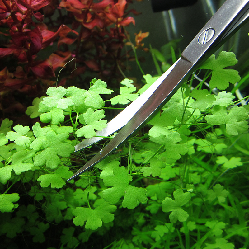 Aquarium Zubehör Hart Edelstahl Aquarium Werkzeug Schere Pinzette Pflanzen Welle Schere Aquarium Schaufeln Reiniger Liefert