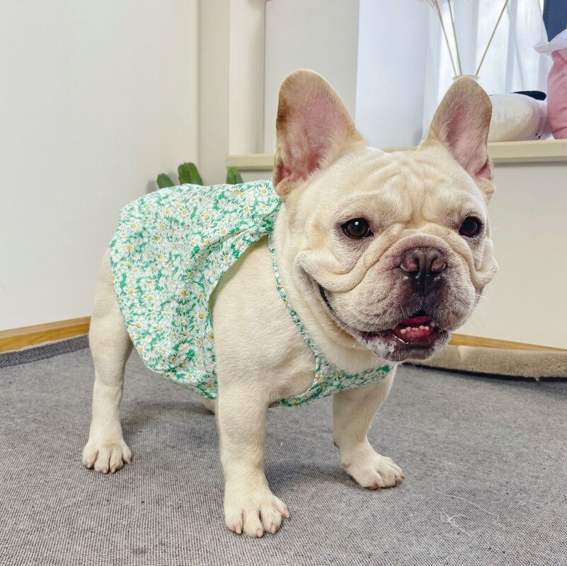 Puppy Dog Princess Tutu for Small Medium Dog Dog Skirt Sweet Flower Print French Bulldog Sling Dress Kawaii Pet Apparel