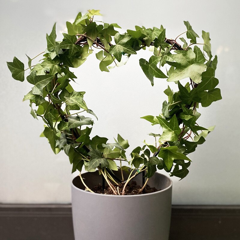 Metallväxt spaljé stödtråd dekorativa växter klätterhållare ställ för krukväxter blommor inomhus el