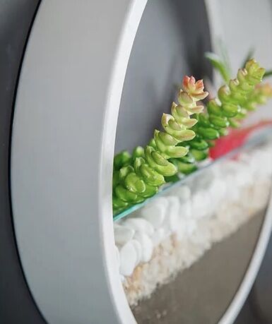 Pot planteur rond mural suspendu | Vase porte-plantes décoratif pour la maison, idéal pour les Cactus succulents, les plantes à Air, etc