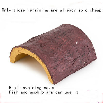 Avoid cave crawlers, feeding boxes, landscaping decorations, mini pet snakes, and crawling simulation lizards.