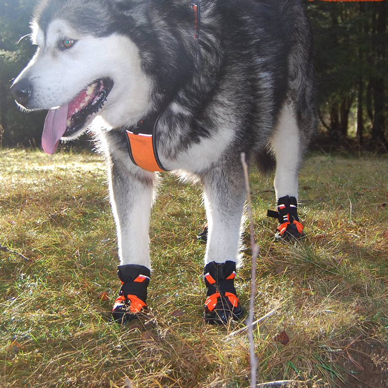 Truelove buty dla psa deszcz wodoodporne zimowe buty na śnieg gumowa podeszwa antypoślizgowe sportowe odblaskowe na buty dla psa Puppy Medium Large