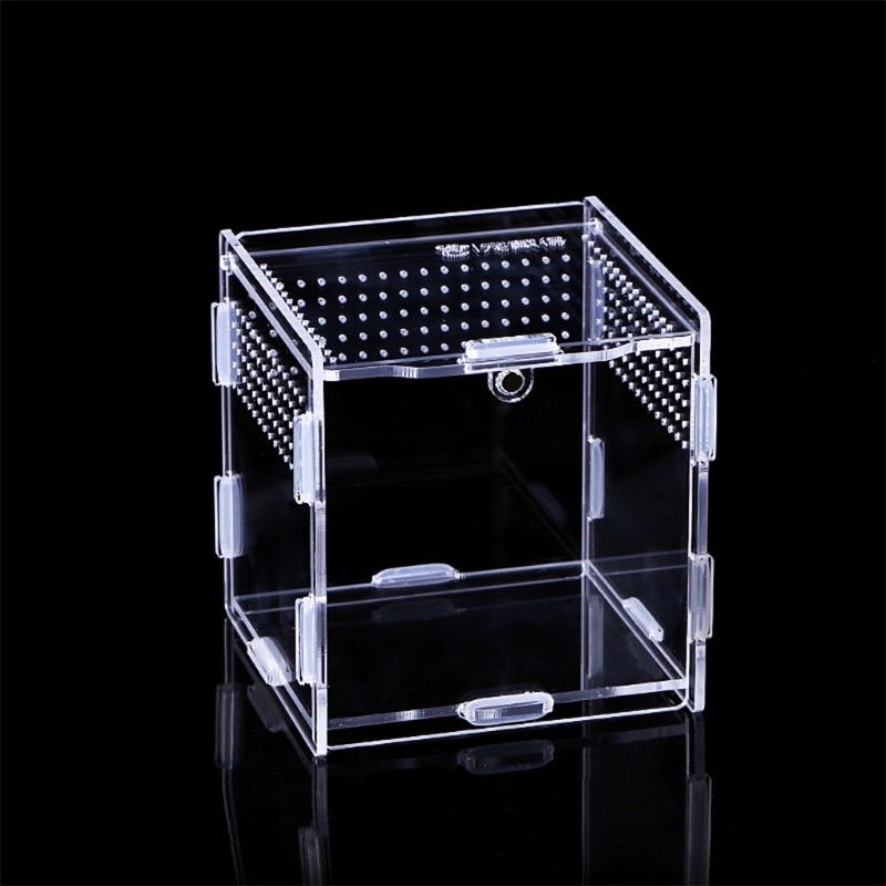 Insect Feeding Box Transparent Container Acrylic Terrarium for Spiders Small Snakes Reptile Carrier Box Easy to Assemble