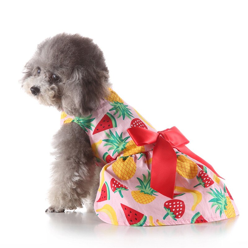 Pet Spring And Summer Fine Fruit Print Dog Costumes Pet Dog Skirt Pet Dresses For Small Large Dog Bubble Skirt Stripe Lace A1
