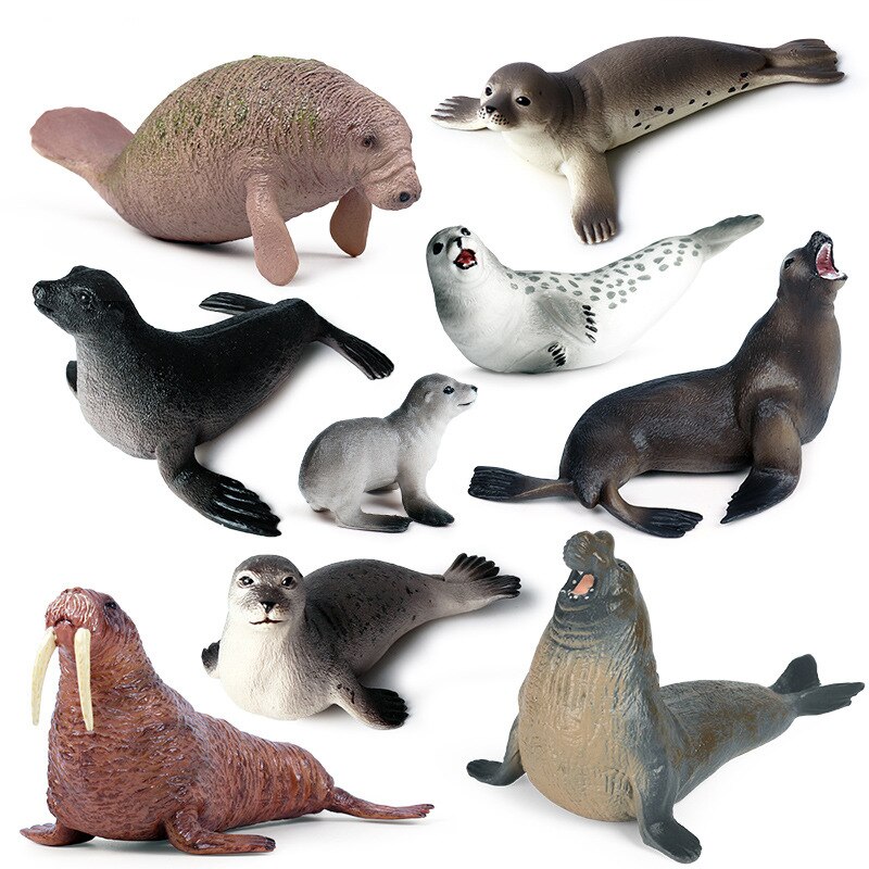 Simulatie Oceaan Dier Seal Zeeleeuw Walrus Model Action Figure Beeldjes Collectie Cognitie Educatief Childrens Toys