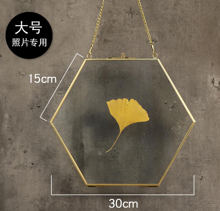 Hexagon Glass Photo Frame Copper Edge Simple Transparent Specimen Frame Photo Frame Metal Photo Wall: L
