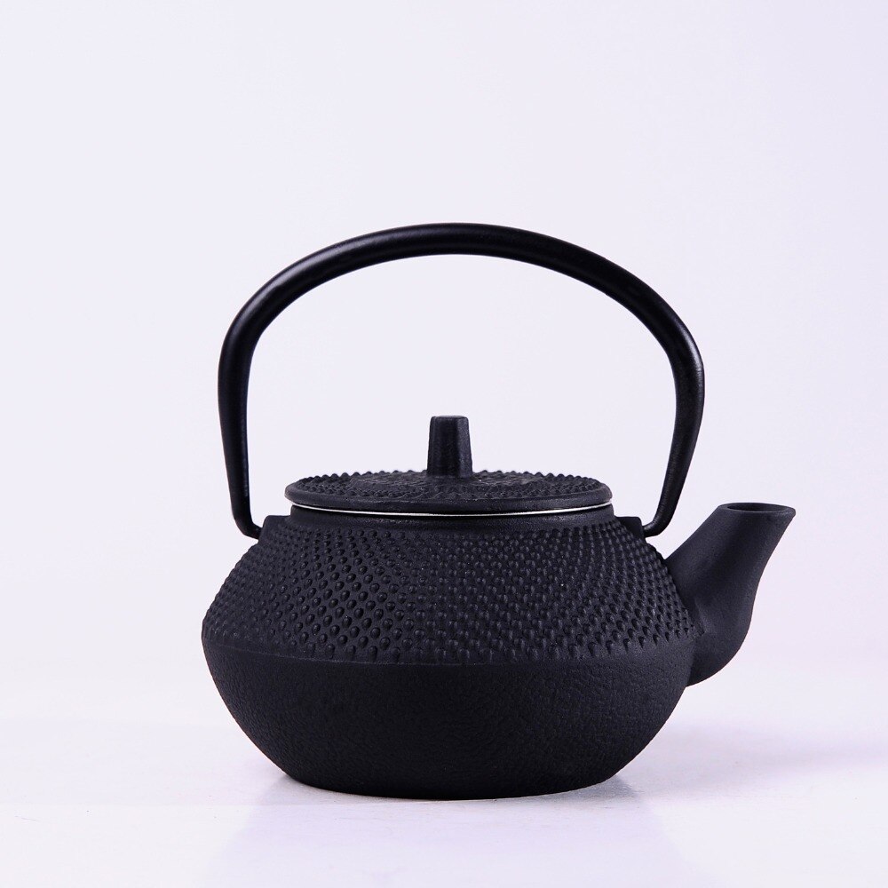 Cast Iron Teapot Japanese Tetsubin Tea Pot Kettle Drinkware Tools 300ml Kung Fu Infusers Stainless Steel Net Filter