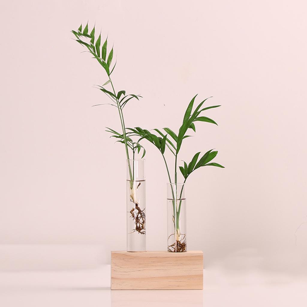 Krystalglas reagensglas vase blomster planter hydroponisk plantekasse+ træstativ dekoreret med en blomst boligindretning