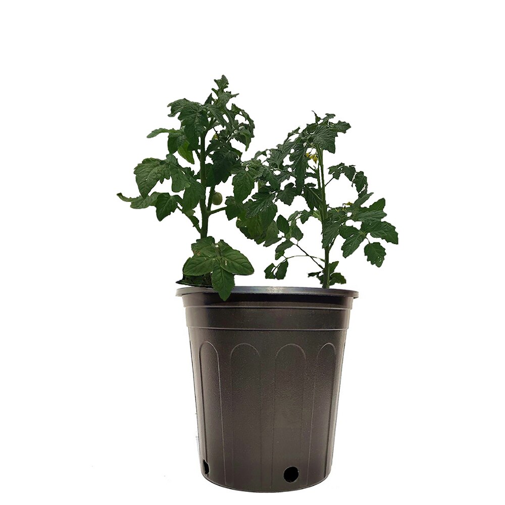 10 stk. 1/2/3/5 gollan planteskole pot plast plante bassin haveplanter haveformering beholder vokse pose havearbejde gallon