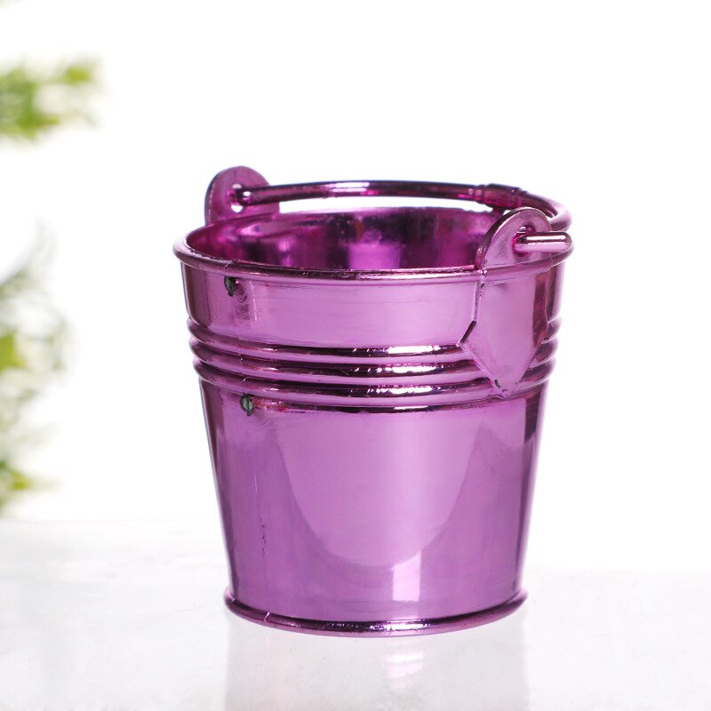 Small Plastic Bucket Tinplate Mini Keg Barrel Outdoor Garden Watering Flower Container Bathroom Kitchen Household Water Bucket: 10