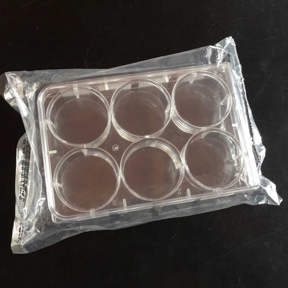 5 stk , 6- huller engangs petriskål 6- brønds bakteriekulturplade steriliseringsskål uafhængig emballage