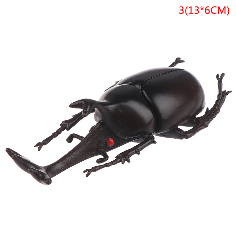 6 style 13cm simulation beetle Toys Special Lifelike Model Simulation insect Toy nursery teaching aids joke toys: 3