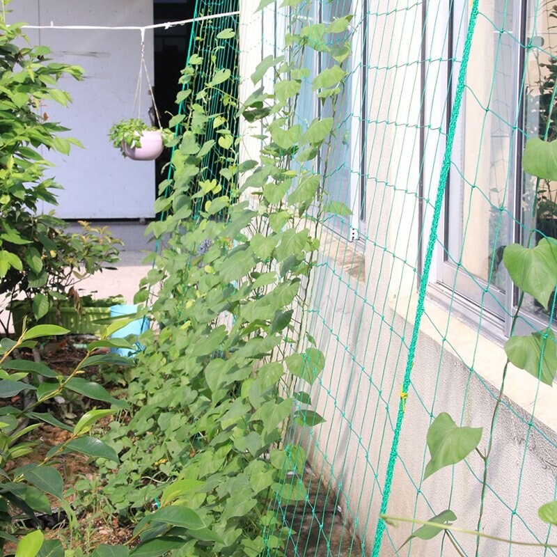 1pc Plastic Nylon Garden Netting Morning Glory Flower Vine Climbing Net Cucumber Plants Landing Net Frame Plants Grow Supports