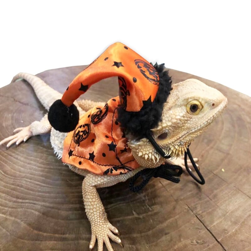 K5DC Lizard Clothes Bearded Dragon Costume Set Orange Halloween Hat and Cloak for Reptiles Resizable Photo Props