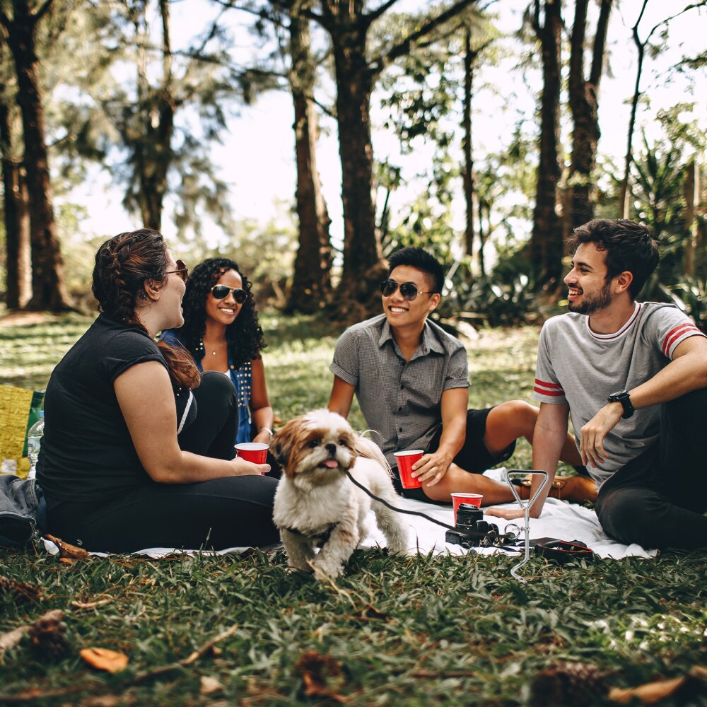 1pc Dog Tie Out Stake Screw Anchor Down Post Stainless Steel Dog Tie Chain Puppy Spiral Stake Spiral Traction Dog Pile Pet Leash