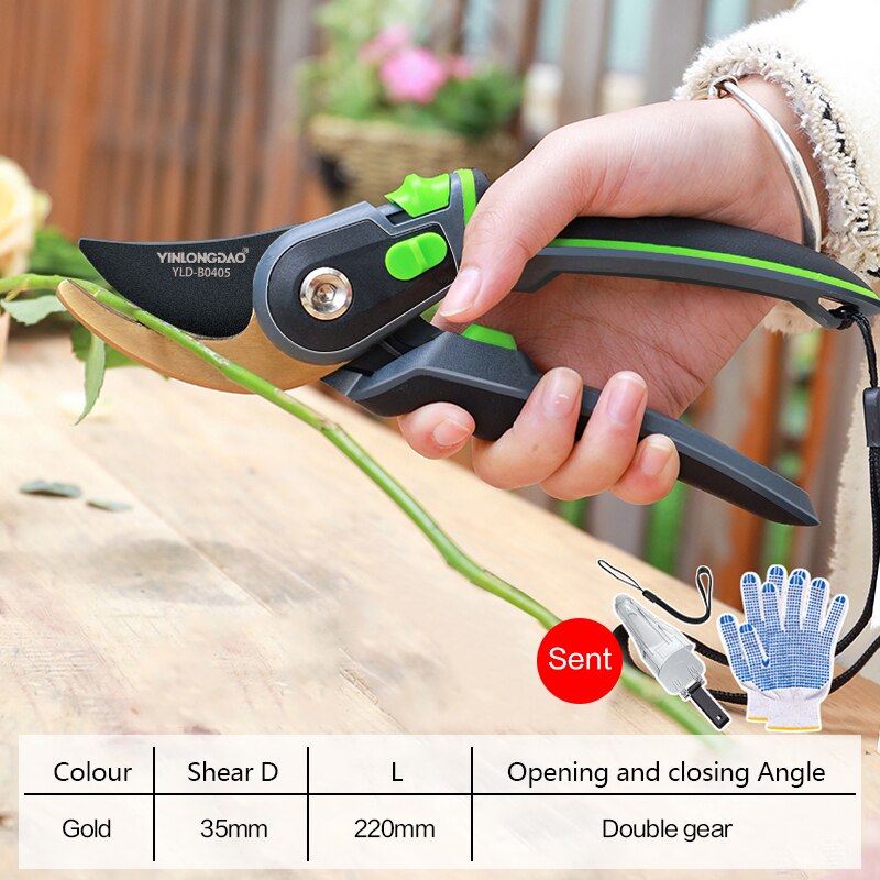 DTBD Plant Trim Horticulture Hand Pruner Cut Secateur Shrub Gardening Scissor Tool Anvil Branch Shear Orchard Pruning Shears: Gold