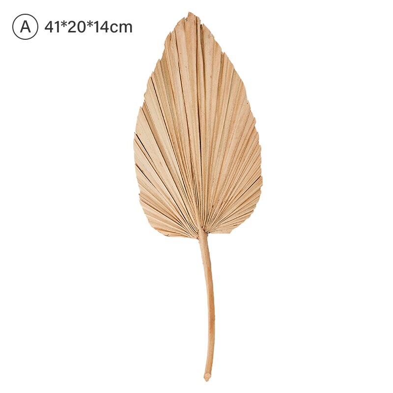 Palm Fan Leaf Dried Flower Palm Leaf Window Reception Party Art Wall Hanging Decoration Wedding Arch Arrangement: A
