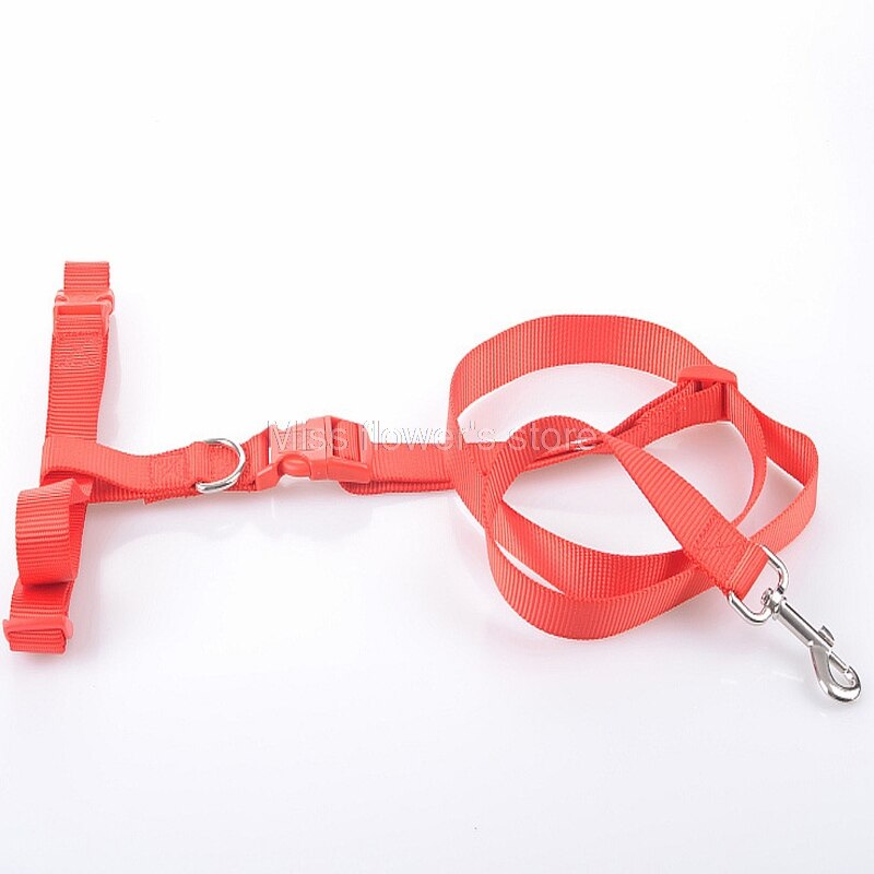 1 PCS Pet Hond Running Walking Jogging Verstelbare Handsfree Leash Taille Riem: Red