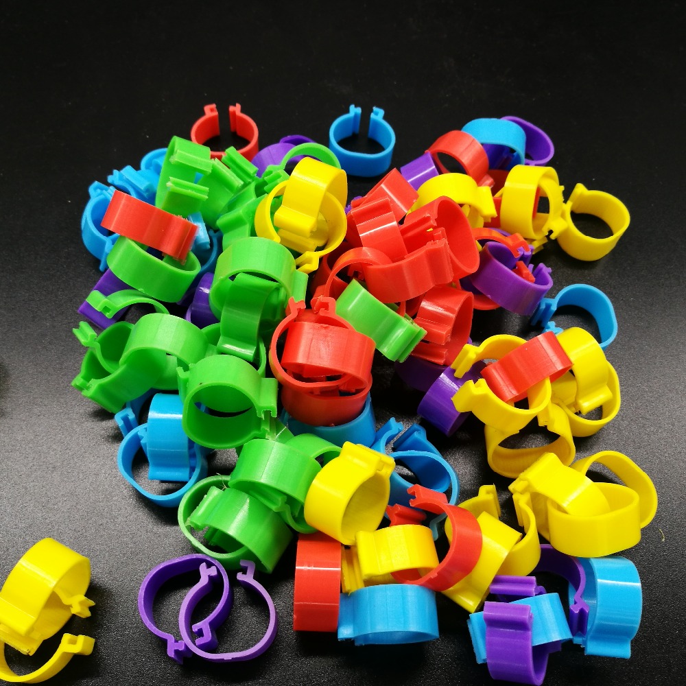 Anillos de pie de gallina y Paloma para pierna, palomas, aves de corral, pollitos, patos, loros, anillo de Clip, herramientas para codorniz, 1,6 cm, 1000 Uds.