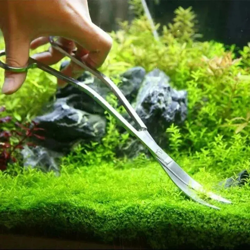 Ciseaux d'aquarium, outil de nettoyage Extra Long en acier inoxydable, outil Aquascape pour Aquarium