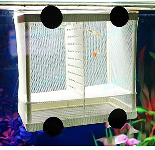 Aquarium vis kweekkast tank vis broedmachine net jongen baby vis kwekerij apparatuur isolatie net box tank met zuignap s/l