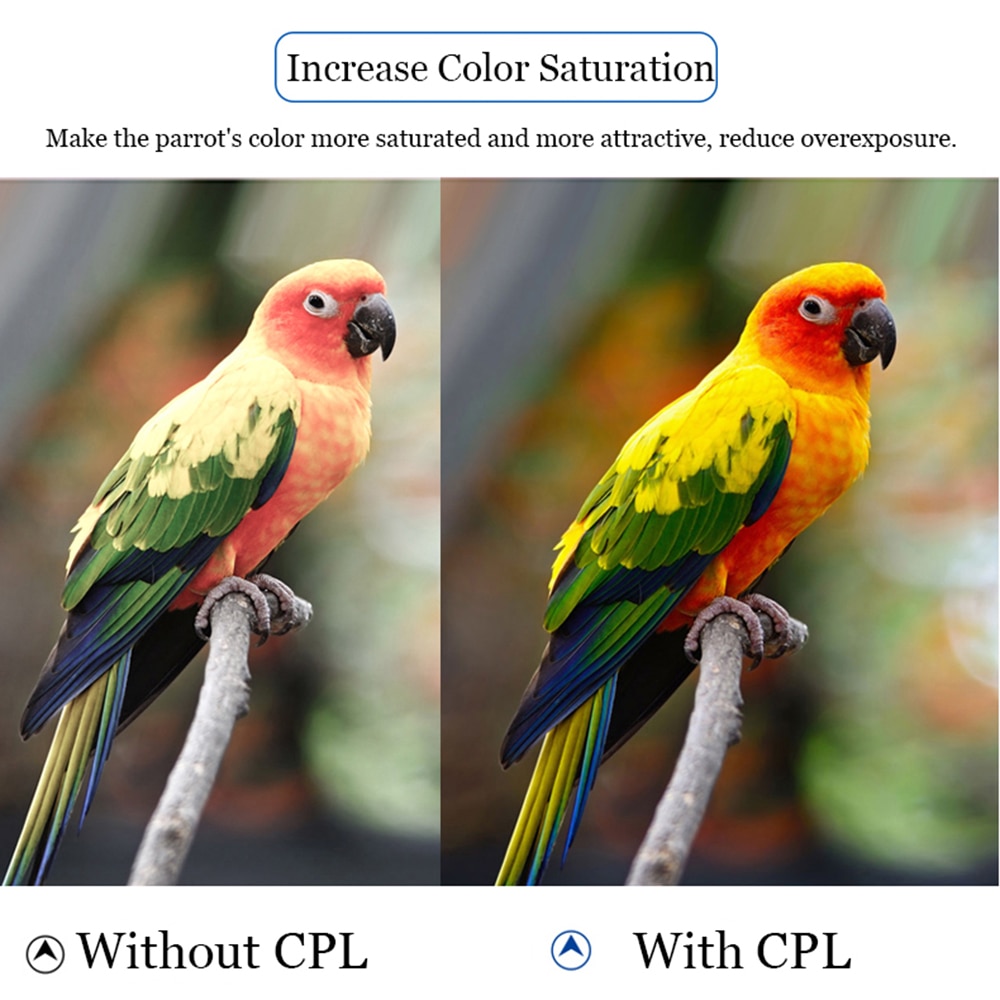 Zomei Original 37MM HD CPL Lens Glass Filter Cell Phone Camera Filter for iPhone cellphone universal filter + Clip