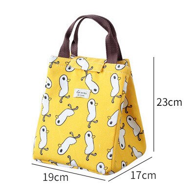 Portable Insulated Lunch Box Portable Cooler Lunch Bag Dinner Container School Food Storage Picnic Trip Cartoon Kids Women: B1  23X17X19CM