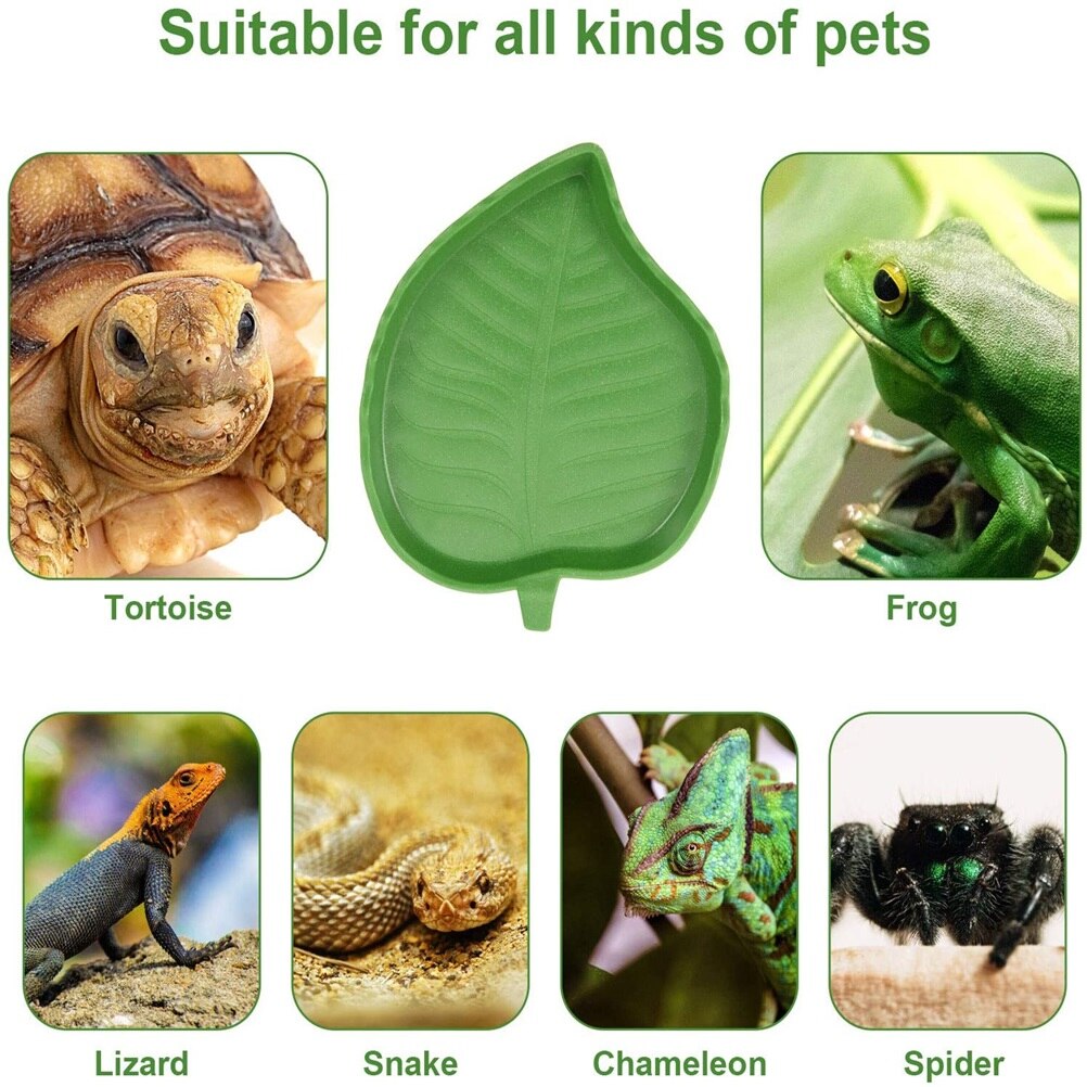2 st blad reptilmat vattenskål groddjur reptiler matare terrarium matningsbassäng sköldpadda ödla krypdjur drickskål