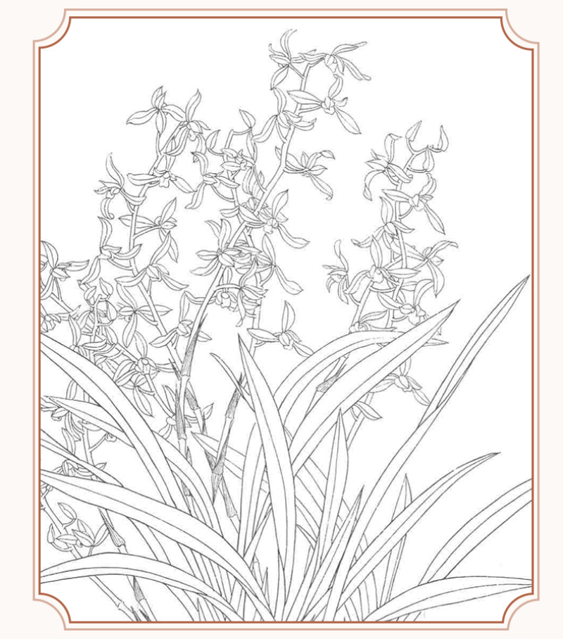 Line Drawing Manuscript Song Dynasty Meticulous Painting Sketches Flowers Birds Copying Manuscript Beginners Line Drawing Drafts