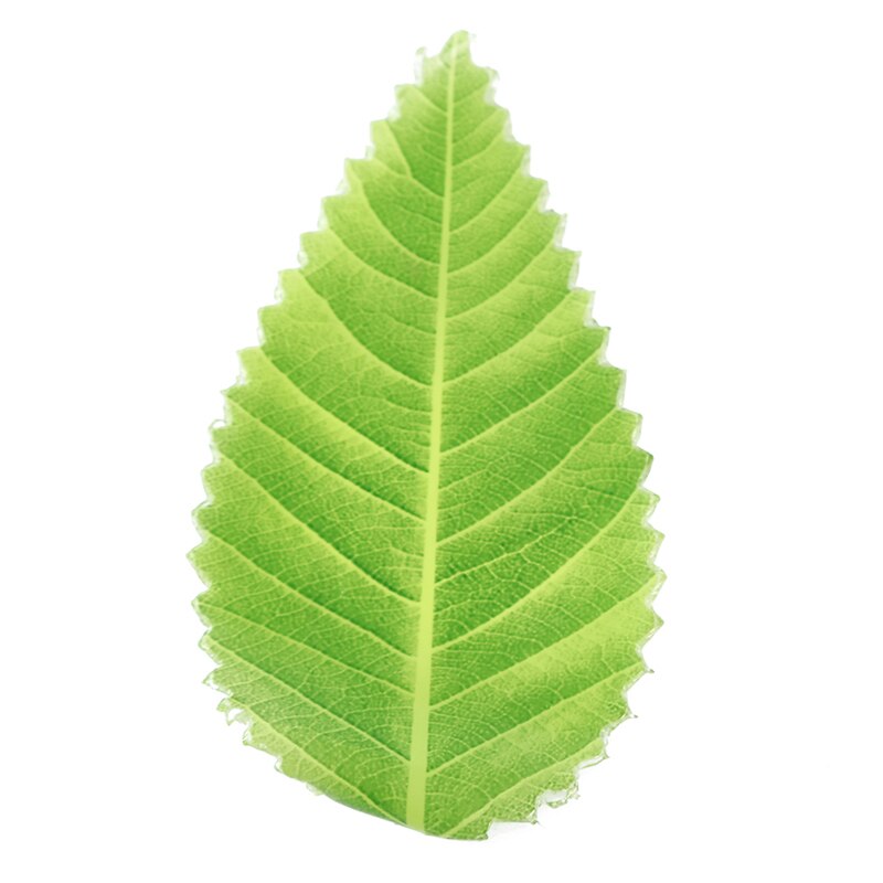 200pcs/pack Japanese Food Sushi Food Decoration Leaves Eco-friendly Safety Plastic Simulation Leaf Cuisine Food Decorations