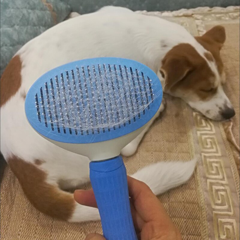 Cepillo de pelo para perros y gatos, peine de masaje de autolimpieza, Golden Retriever, productos para mascotas, accesorios