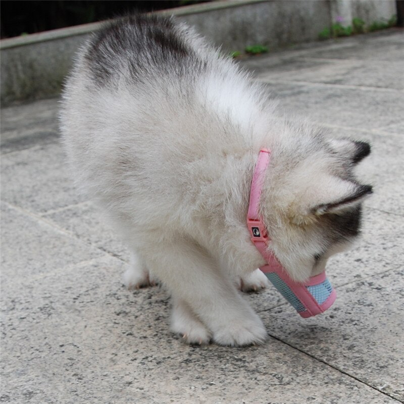 Hocico del perro cachorro de perro de cuero de malla de Nylon hocico de mascota boca