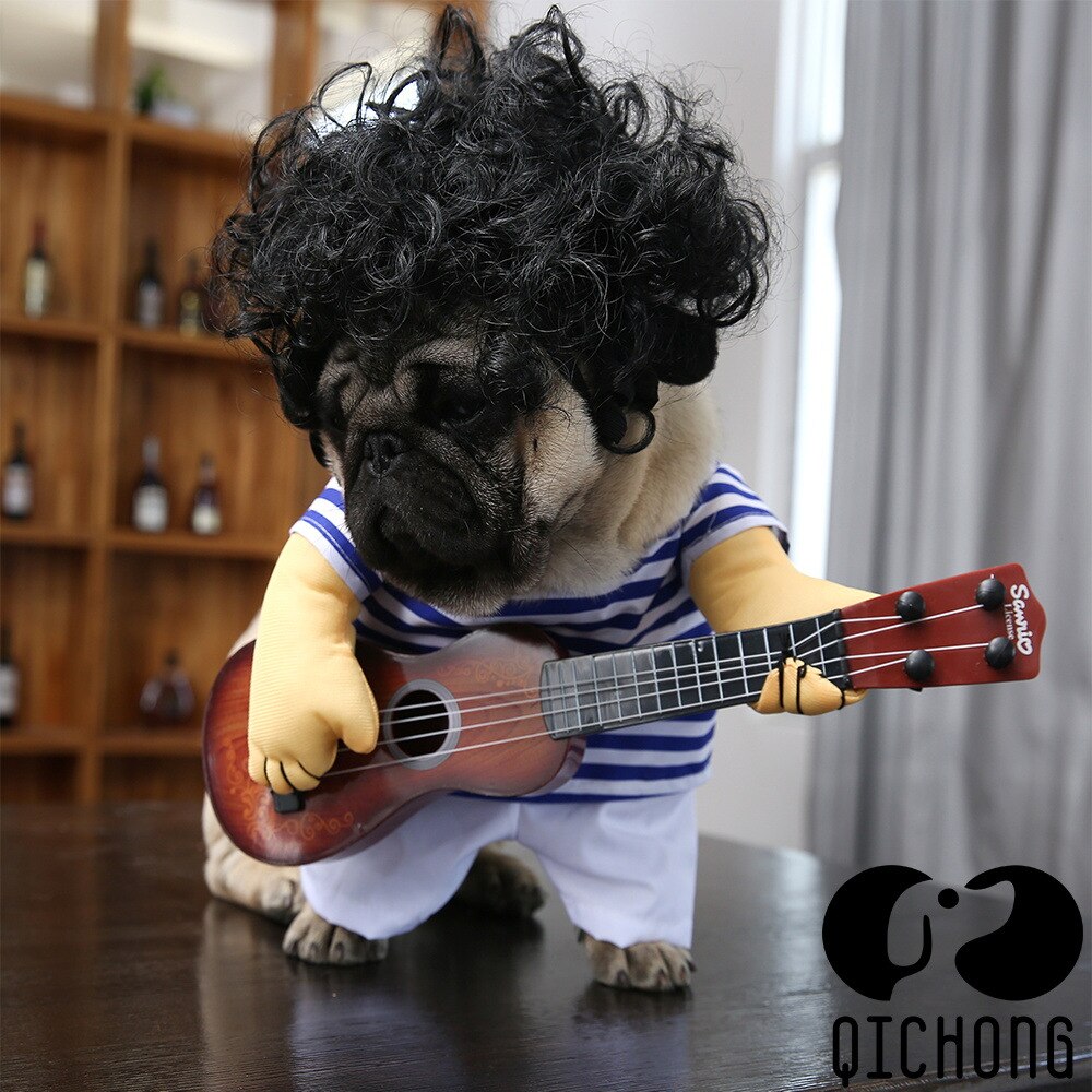 Huisdier hond gitarist werd een grappige gitaar kleding tobago grappige gitaar kleding