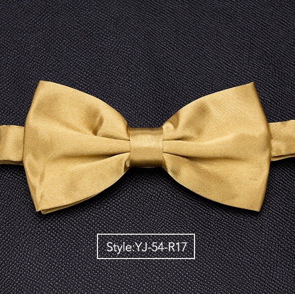 Herren Fliege Hochzeit Krawatten für Männer Frauen Solide Schmetterling Krawatte Krawatte Männlichen Kleid Hemd Zubehör Bowtie: YJ-54-R17