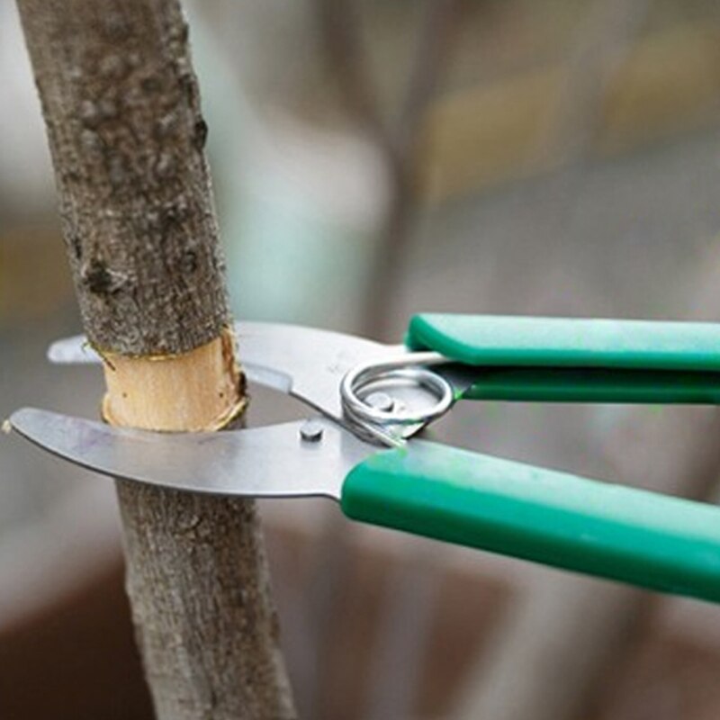 jardín de ramas de árbol anillo ladrando de tijera cizalla de anillado Prunning herramientas